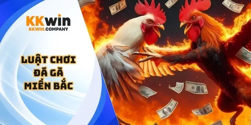 Luật chơi đá gà miền Bắc