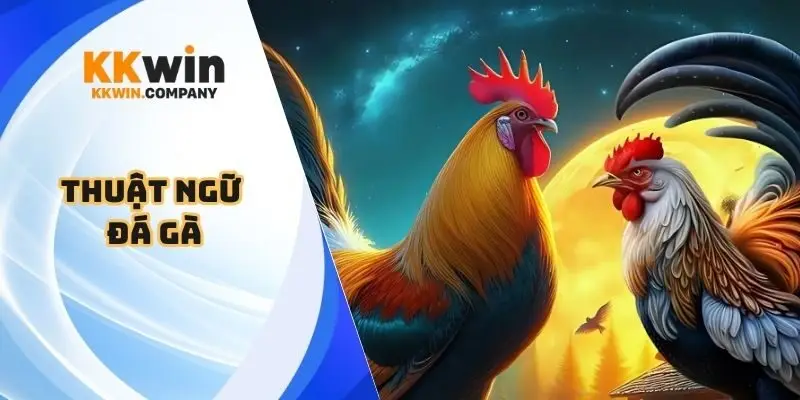 thuật ngữ đá gà
